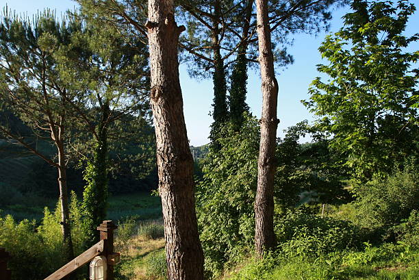 Tuscany Nature stock photo