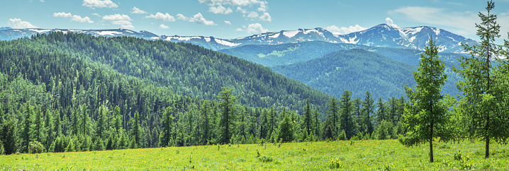 Summer mountain landscape, greenery of meadows and forests and snow on the peaks, sunny day, panoramic view