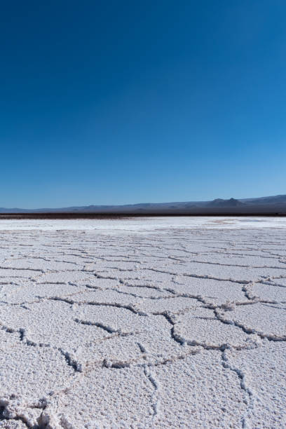 landschaft der salinen in der atacama-wüste, in der nähe von salzhaltigen lagunen, san pedro de atacama, chile - salar stock-fotos und bilder