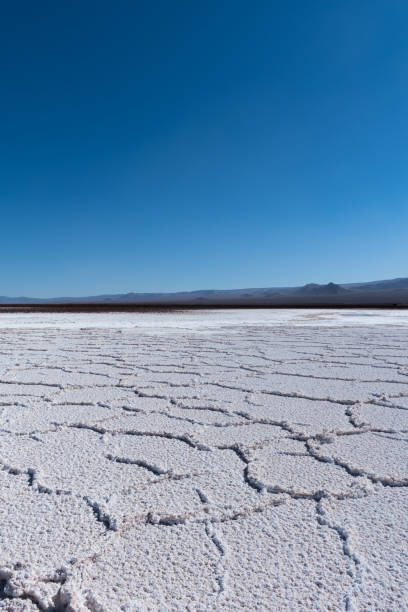 landscape of salt flats in atacama desert, near saline lagoons, san pedro de atacama, chile - southern usa sand textured photography imagens e fotografias de stock