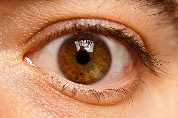 istock Close up of an eye 146881613