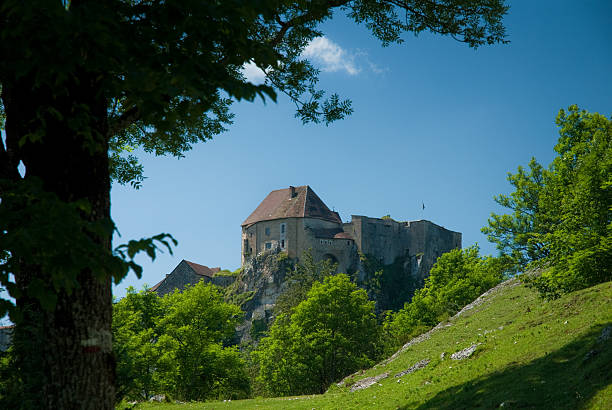 Castle of Joux This is a photo of the ChAteau de Joux taken from the bottom of Fort Mahler. This location at the "cluse du Doubs" close to Pontarlier in France. doubs photos stock pictures, royalty-free photos & images