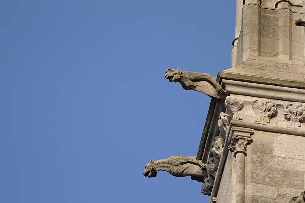 istock Gargoyle on the cathedral of Amiens 146881935