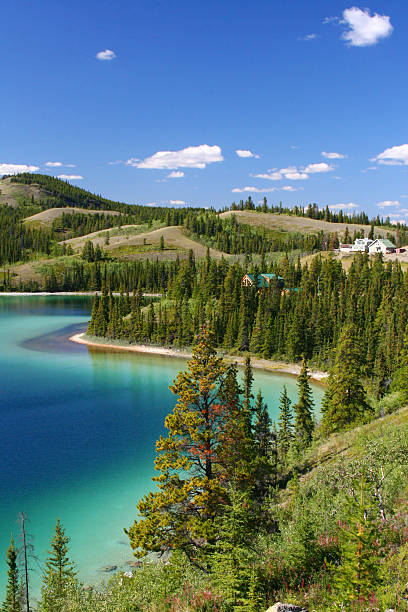 istock Little Emerald Lake Yukon Territory, Canada 146881975