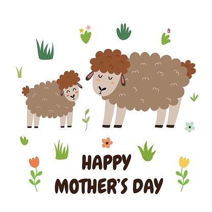 Happy Mother’s Day print with a cute mother sheep and her baby lamb. Funny animals family greeting card. Vector illustration