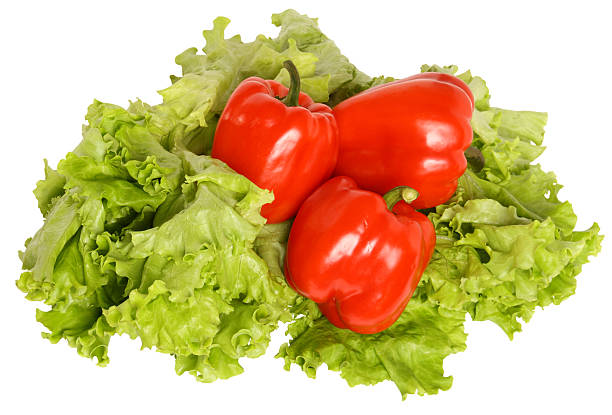 Red pepper on salad stock photo