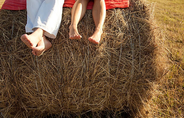 Lovers feet on the field of hay stock photo