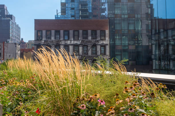 istock NYC buildings seen from the High Line Park 1468831143