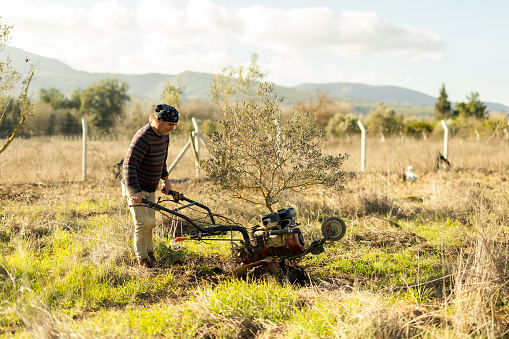 A male farmer plows the land with a cultivator