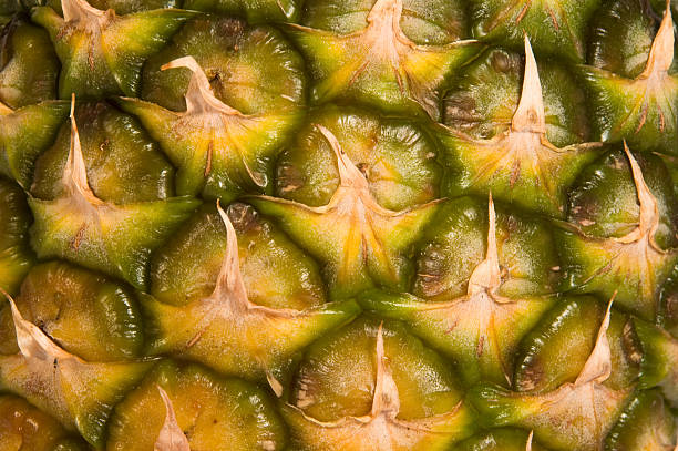 pineapple macro shot stock photo