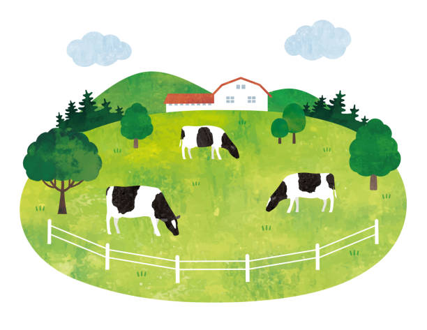 Scenery of cows and pasture2 Scenery of cows and pasture2 grass vector meadow spring stock illustrations
