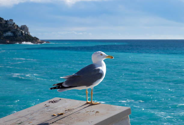 Nice, France