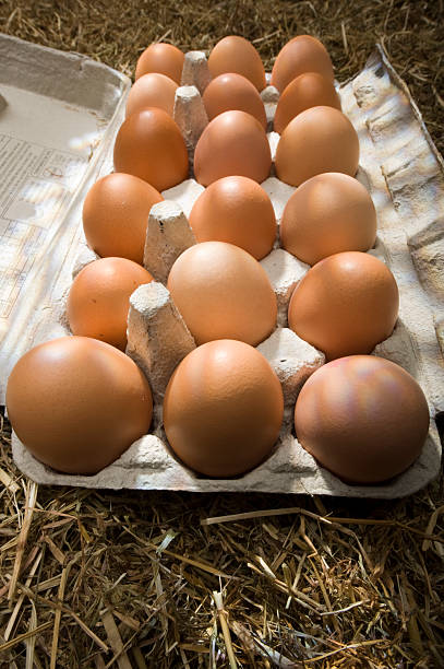 Chicken eggs in a carton Carton of brown organic chicken eggs on a straw background free range stock pictures, royalty-free photos & images