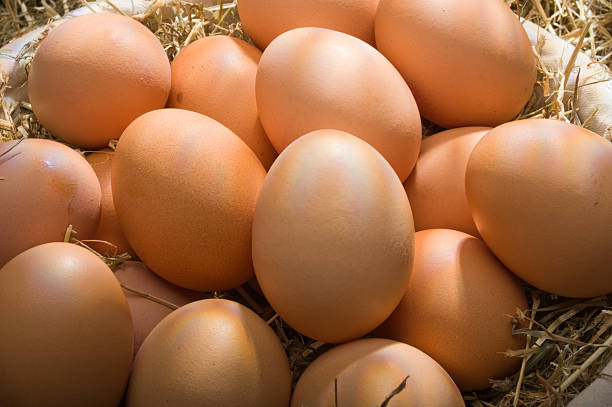 Chicken eggs in a basket stock photo