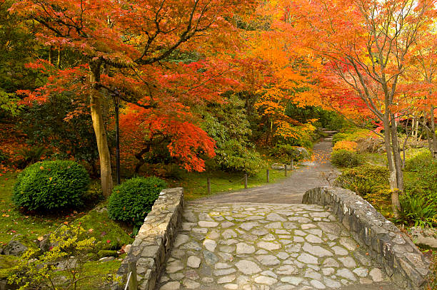 Japanese Garden