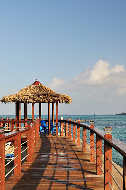 istock Beachside hut and boardwalk by Caribbean sea 146883840