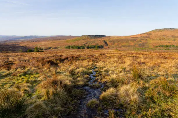 Following a rivulet of rainwater down the slope of Burbage Valley towards a distant Carl Wark fort.