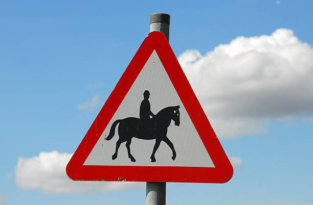 istock Beware, horse & Rider 146884066