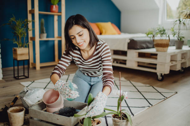 istock Smiling young woman spraying her plants at home 1468841149