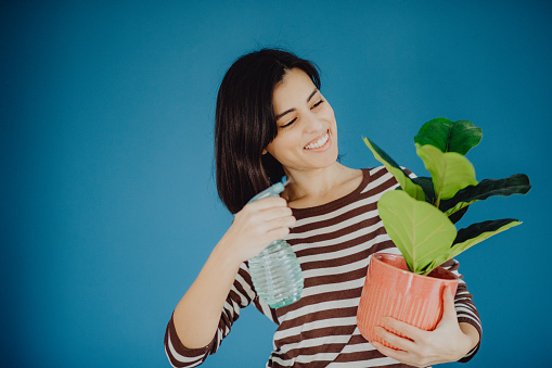 Portrait of a joyful young Caucasian woman spraying and holding a potted plant on a blue background.