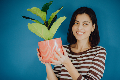 Front view portrait of a smiling young Caucasian woman holding a potted plant on a blue background and looking at the camera.