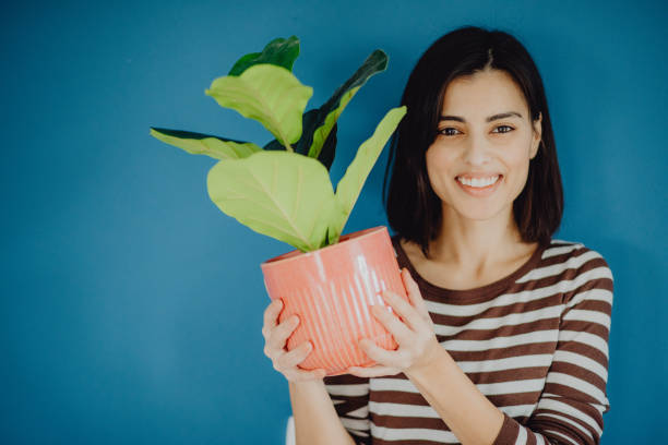 Portrait of a smiling young woman holding a potted plant and looking at the camera stock photo