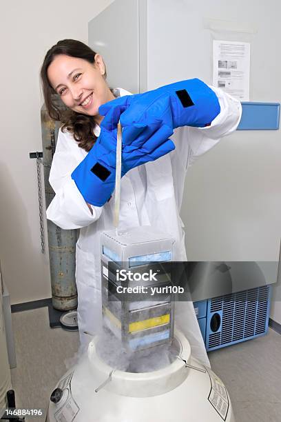 Female Scientist Freezing Tissue Culture In Liquid Nitrogen Stock Photo - Download Image Now