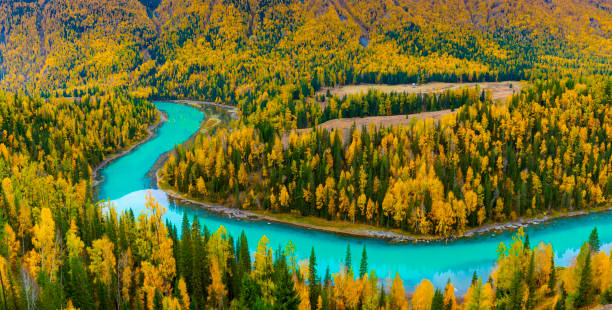istock Autumn rivers, mountains, yellow forests in Xinjiang 1468842621