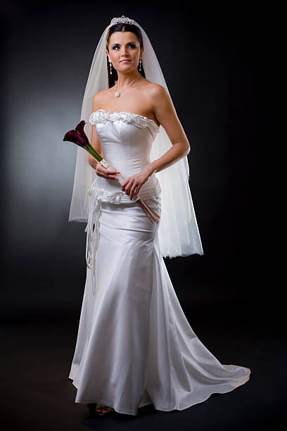 istock Bride in wedding dress 146884448