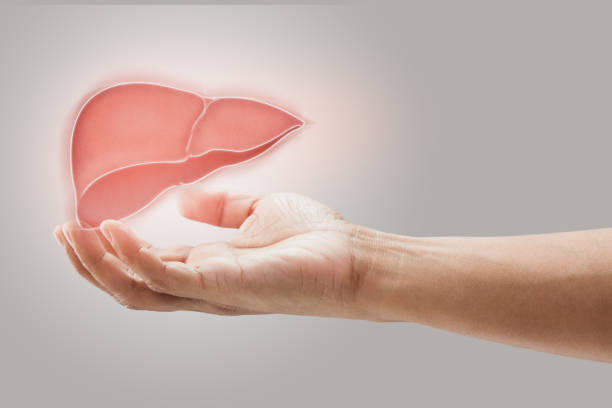 istock Man holding liver illustration. 1468844728