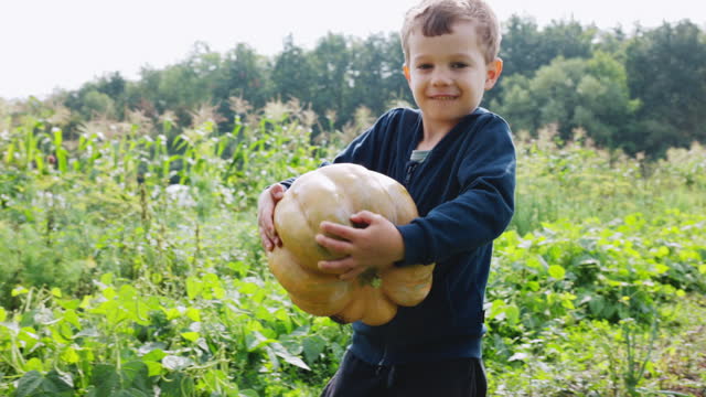 Young Boy Carrying Large Pumpkin