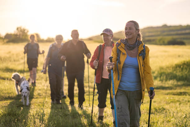 istock Exercising dogs with hiking friends 1468847590