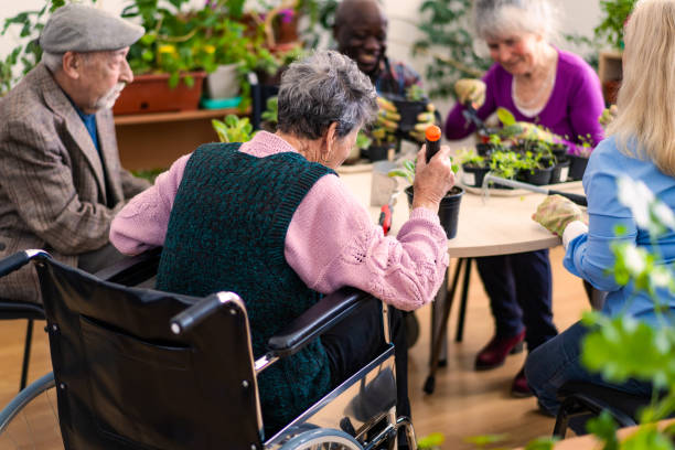 una señora mayor en silla de ruedas está ayudando con las plantas en macetas - atención residencial fotografías e imágenes de stock