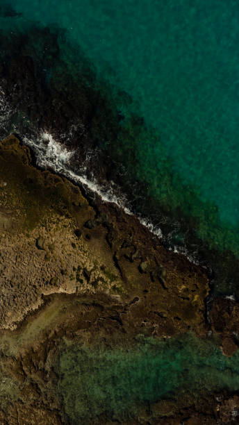 istock Incredible colors and shapes created by nature 1468847890