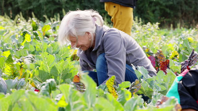 Senior Woman Kneeling Down While Tending To Organic Crops
