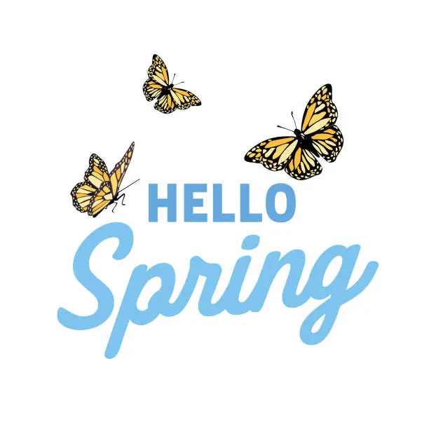 Vector illustration of Hello Spring Text Design