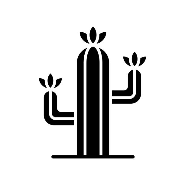 ilustraciones, imágenes clip art, dibujos animados e iconos de stock de plantilla de diseño vectorial de icono de cactus en fondo blanco - ornamental garden plant tropical climate desert
