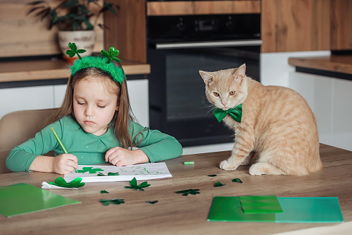 A little girl with a bandage on her head draws and cuts green shamrocks for St. Patrick's Day at a table at home in the kitchen, next to her is her beautiful cat with a green bow tie around his neck