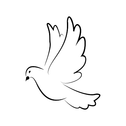 Flying pigeon. Symbol of world. Pigeon. Symbol of love, freedom. Dove