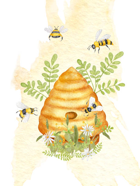 Watercolor illustration on the topic of beekeeping. Bee Hive in Grass with Flowers. Honey Bees, Branch, Bumblebee. Watercolor illustration on the topic of beekeeping. Bee Hive in Grass with Flowers. Honey Bees, Branch, Bumblebee beehive hairstyle stock illustrations