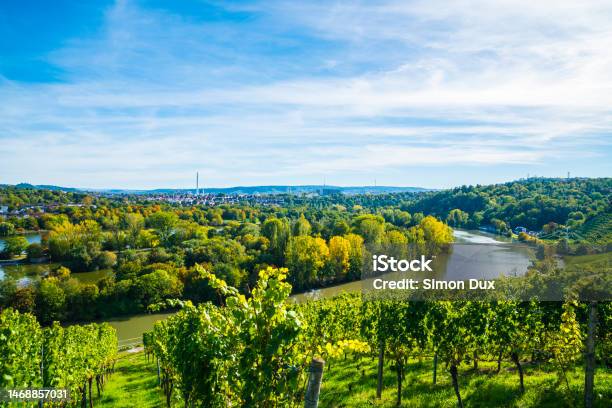 Germany Stuttgart Aerial Panorama View Max Eyth See Lake Water Neckar River Boats Beautiful Houses Autumn Nature Landscape And Bridge Stock Photo - Download Image Now
