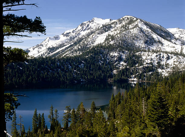 istock Fallen Leaf Lake, California 146886198