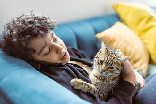 In this cozy living room, a young boy is seen cuddling with his cute feline friend. The pair seem lost in their own little world, enjoying the warmth of the couch and each other's company