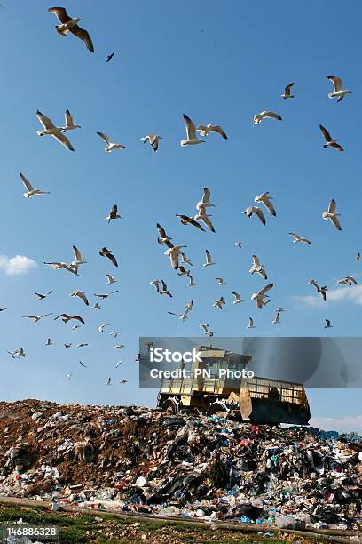 Vertedero De Trabajo Foto de stock y más banco de imágenes de Aire libre - Aire libre, Azul, Basura