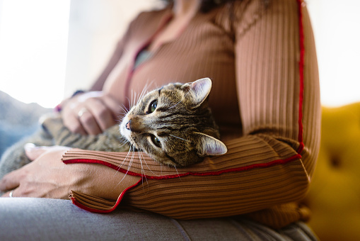 Contented Cuddles: Brazilian Woman Enjoys a Peaceful Moment with Her Adorable Cat