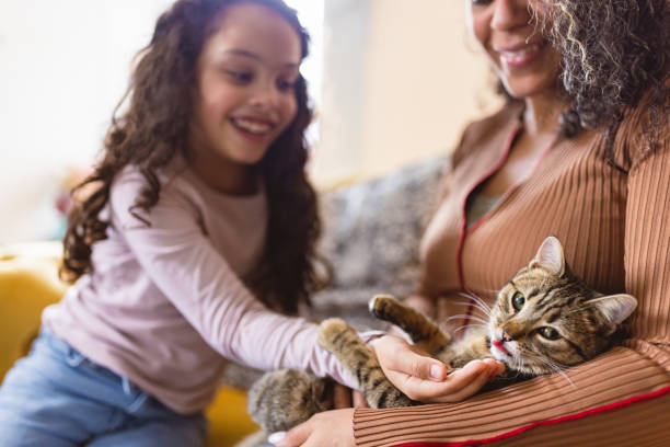 Mom and daughter playing with their cat stock photo