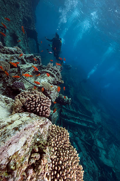 istock Wreck German freighter Kormoran - sank in 1984 Tiran 146886539