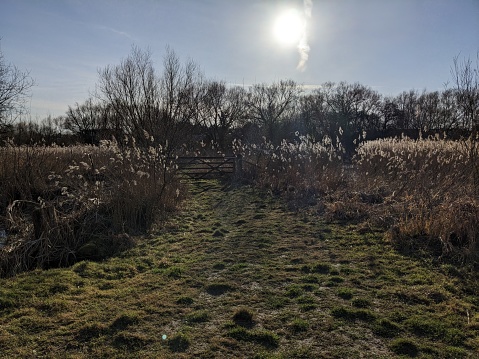 Rye Meads nature reserve on a sunny winter day. Near Ware in Hertfordshire