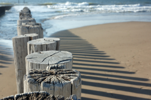 Line of wooden poles on the beach