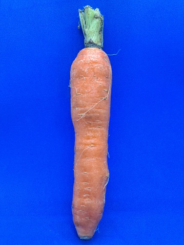 One carrot with a blue background
